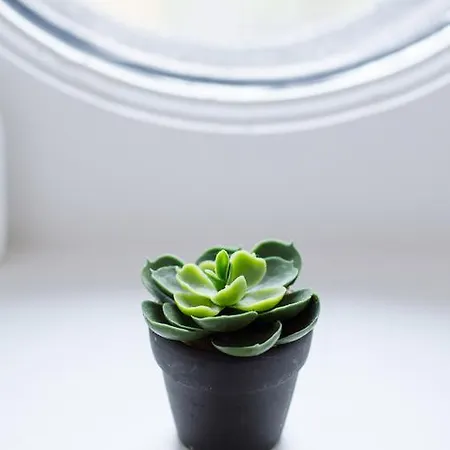 5チャンバース アン ヴィル