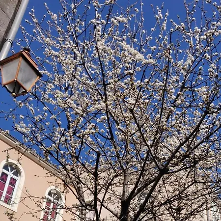 ゲストハウス 5チャンバース アン ヴィル 4*